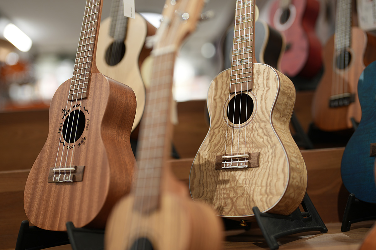 Ukulele Sommer 2025 bei Stoffler Musik