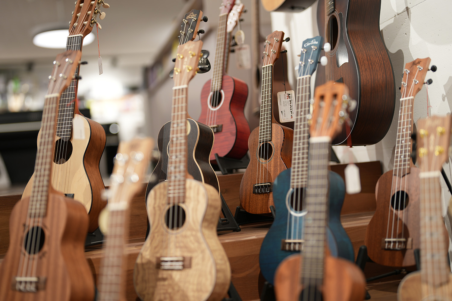 Ukulele Sommer 2025 bei Stoffler Musik