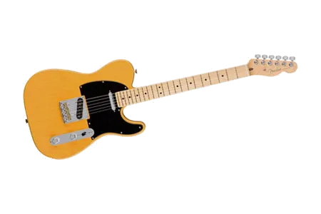 Fender American Professional Telecaster MN Butterscotch Blonde