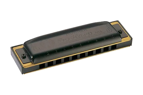 Hohner Pro Harp MS
