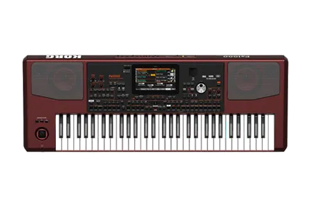 Korg Pa1000