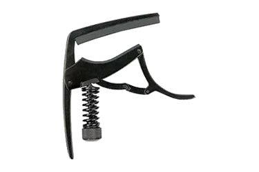 Planet Waves Dual Action Capo