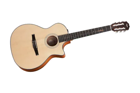 Taylor 314ce-N