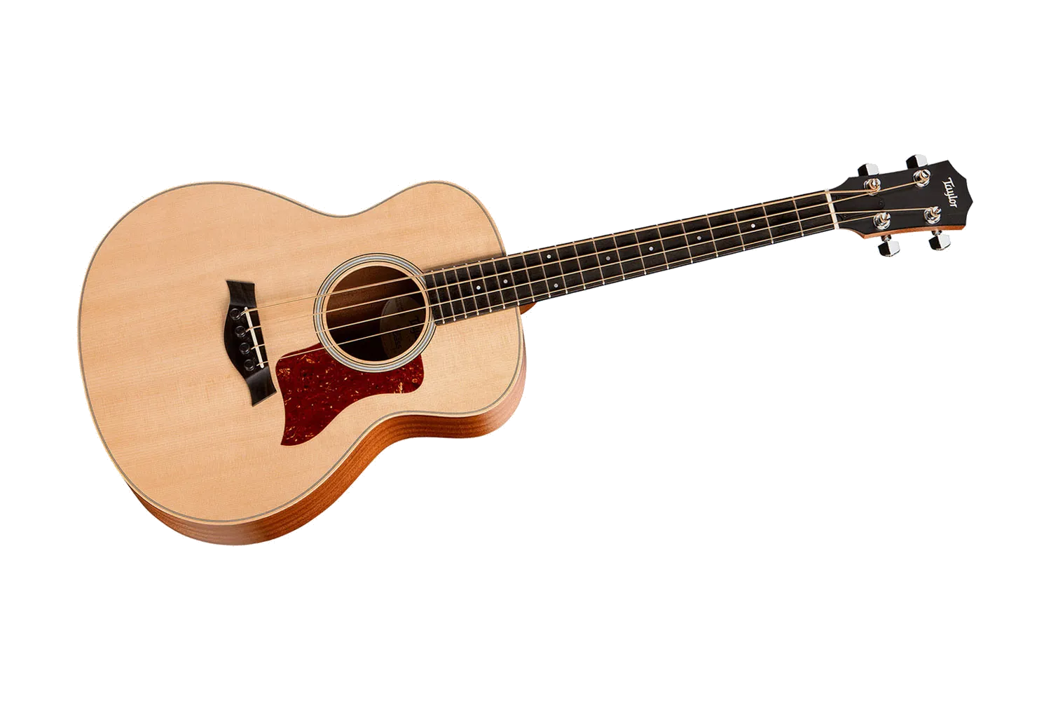 Taylor GS Mini-e Bass