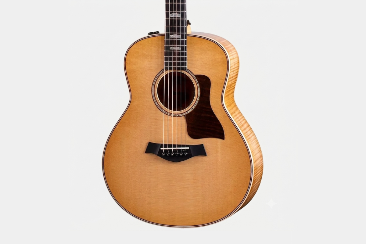 Taylor GT 611e LTD