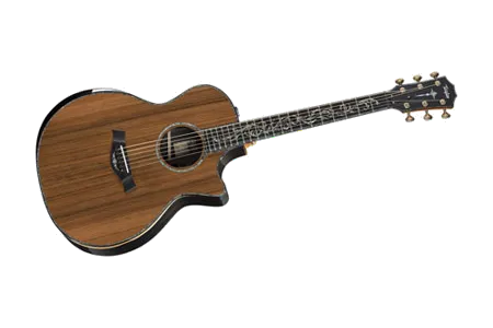 Taylor PS14ce