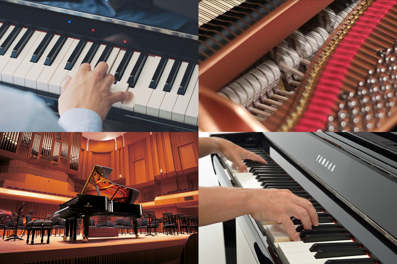 Yamaha CSP-295PE