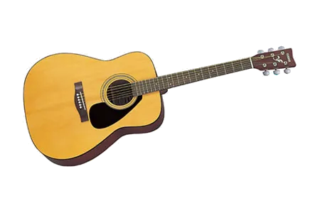 Yamaha F310