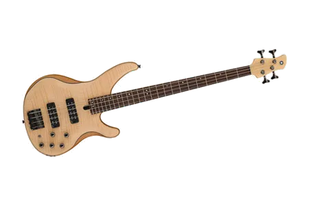 Yamaha TRBX604FM NS